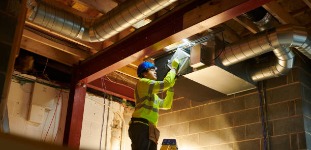 Best Home Air Vent Cleaning  in Greendale, IN