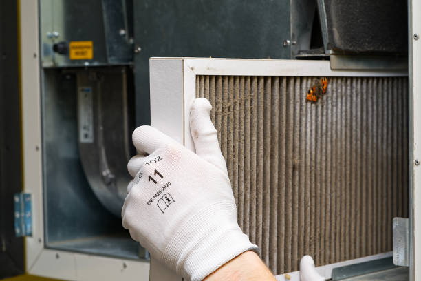 Best Ventilation Cleaning Services  in Greendale, IN