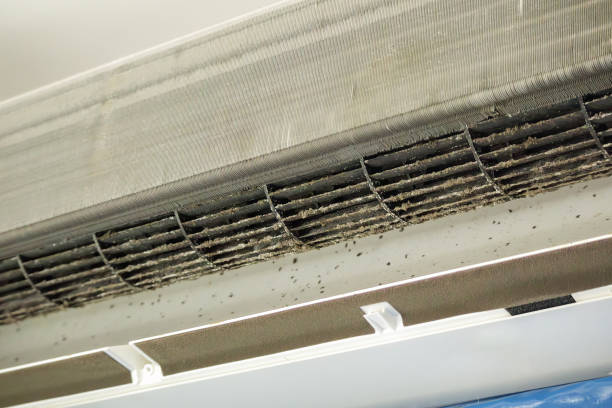 Air Duct Mold Removal in Greendale, IN